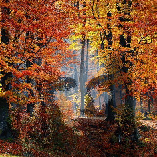 Rancoeur mélancolique