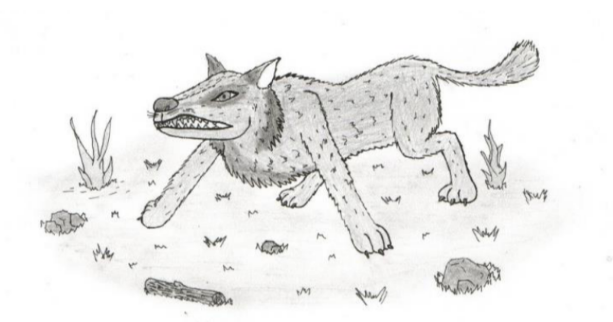 Découvrez les super-canins d'Ethélys !