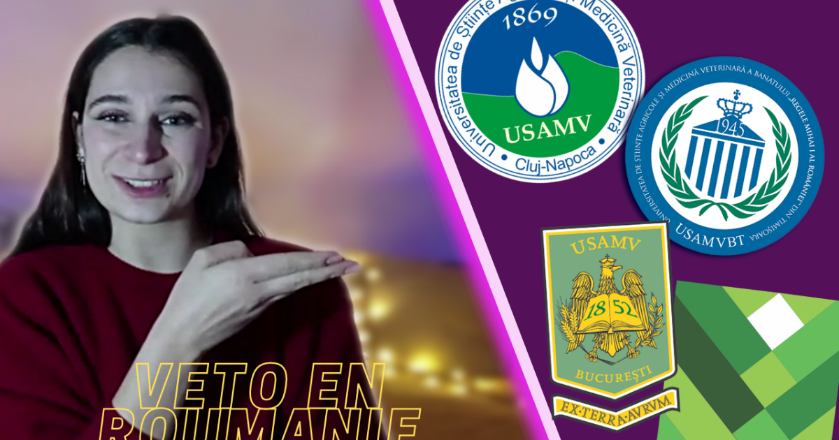 Silence ça tourne 🎥