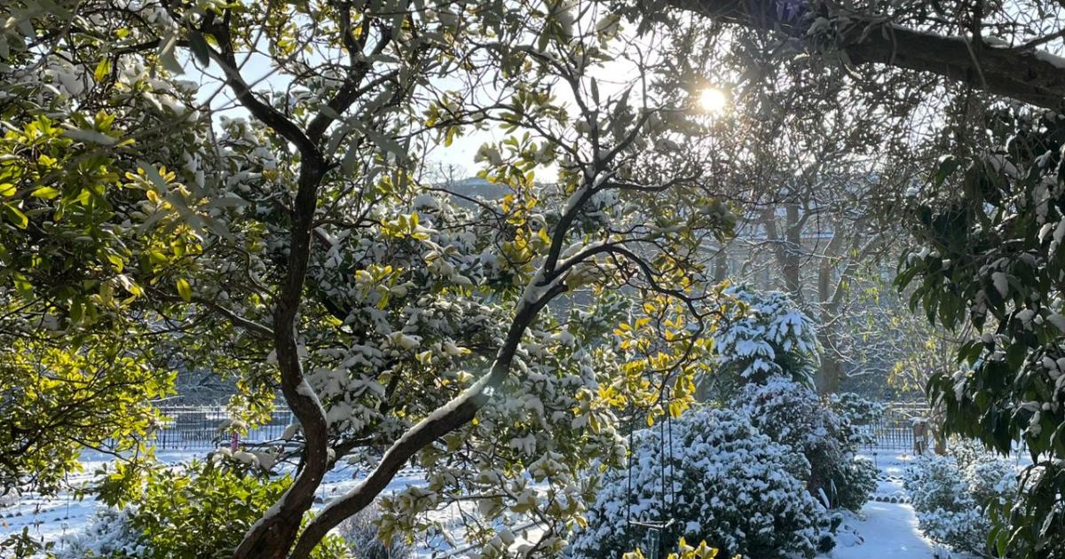 La Montagne du temps suspendu