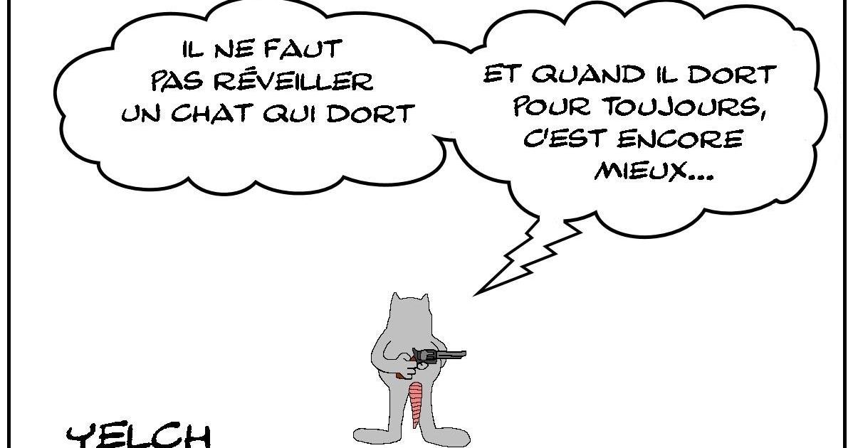 Le chat qui dort pour toujours