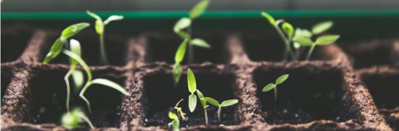 Et maintenant le silence