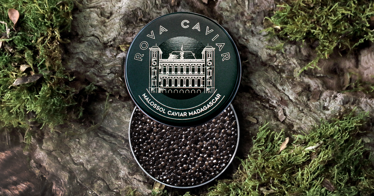 Des coffrets d'exception avec EXULT WORLD WINE