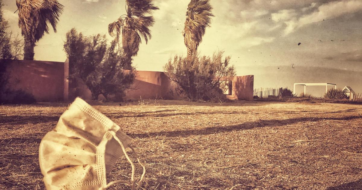 Les fleurs d'inhumanité