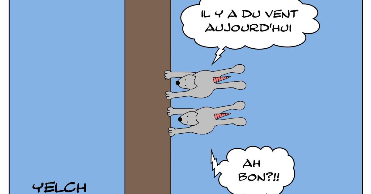 Les rats qui étaient dans le vent