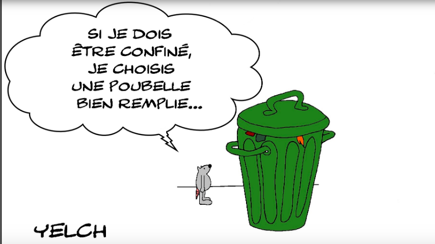 RAT CONFINEMENT ET POUBELLE