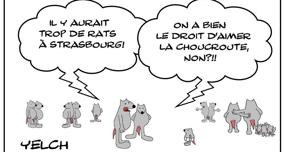 Les rats qui aimaient la choucroute
