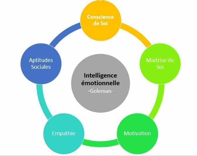 L'intelligence émotionnelle
