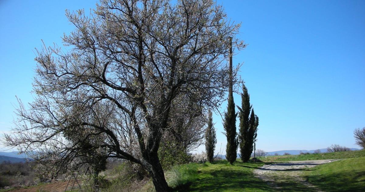 La fille de l'architecte ou l'enchantement