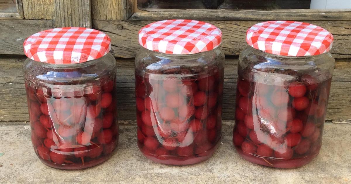 Le jardin du 1er Juillet