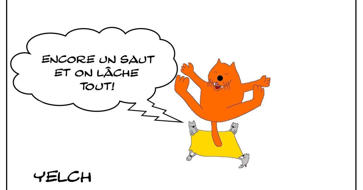 Le lâcher de chat