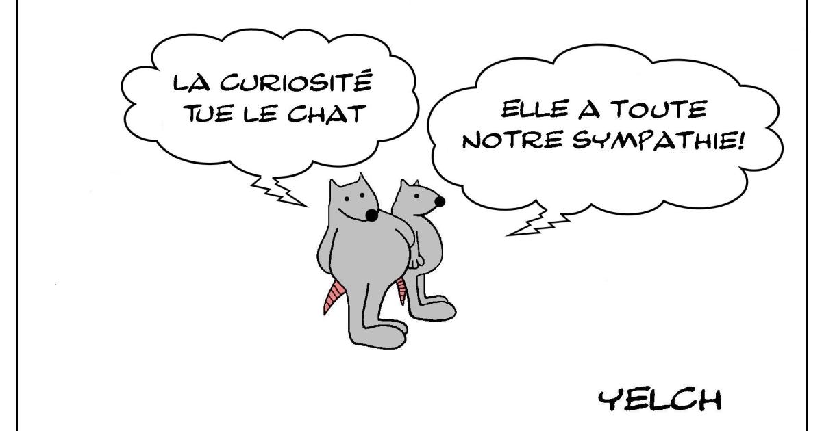 Le rat qui appréciait la curiosité