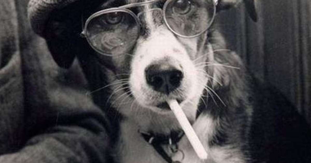 Refrain bien connu...