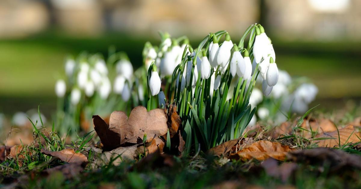 Un air de printemps