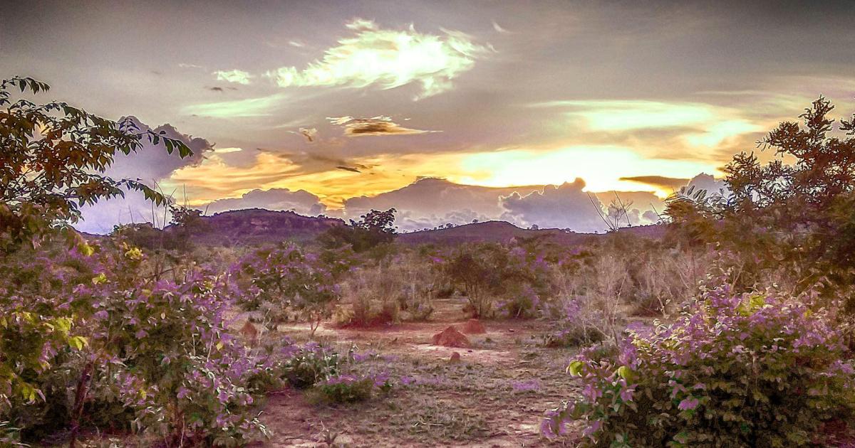 Être Libre, c’est être Maître de son Destin - Anticipation.