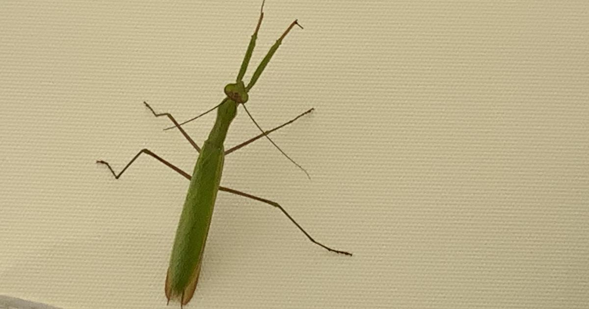 Le jardin du 4 Septembre 