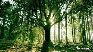 La garnison d'Alba - épisode 2 (Olbac, le dragon marginal)