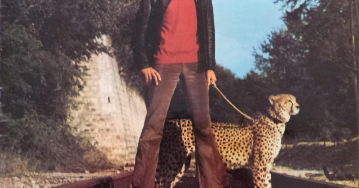 Panthera pardus