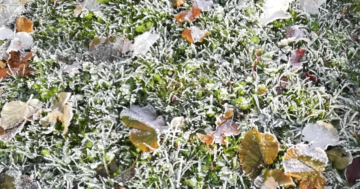 Episode 2 : l'hospitalisation