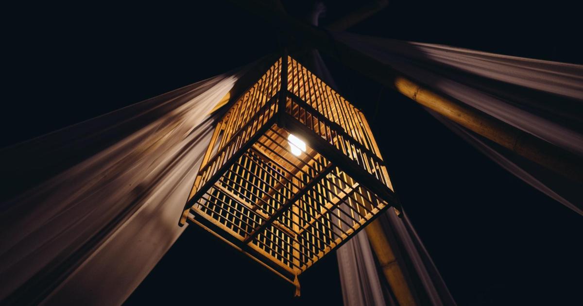 Chapitre 14 - Sortir de la cage