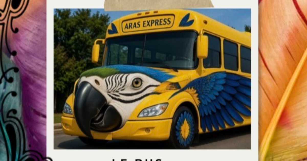 Le bus aras 🦜