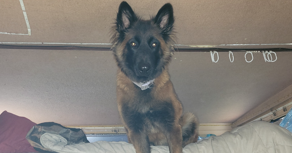 Ton lit? Mon lit? Notre lit 😁