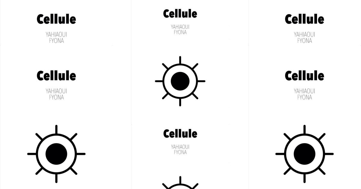 Cellule