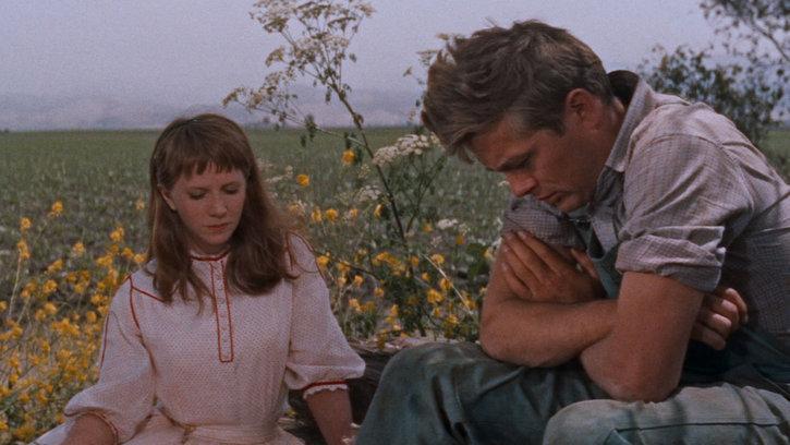 A l'est d'Eden (East of Eden, Elia Kazan, 1955)