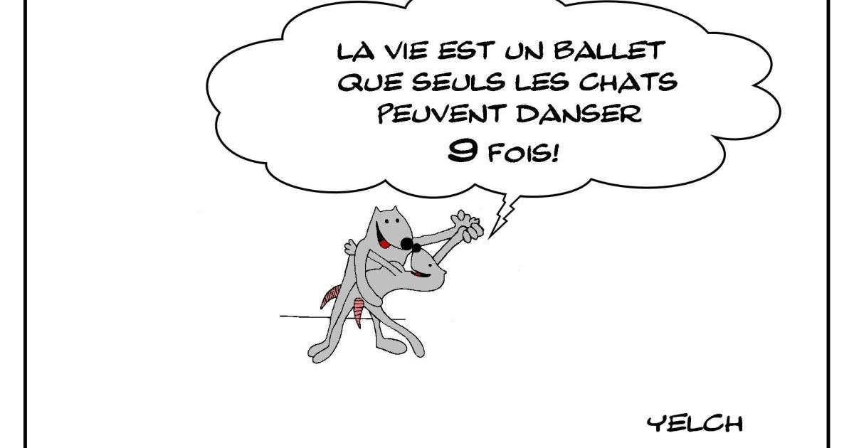 Le ballet de la vie