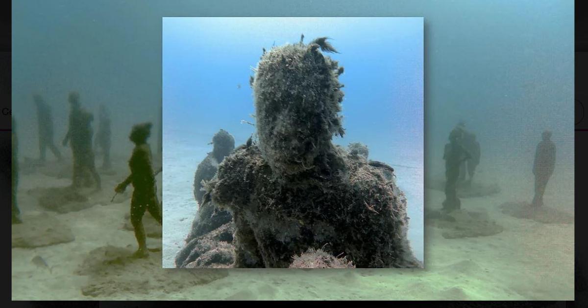 Déambulation sous-marine