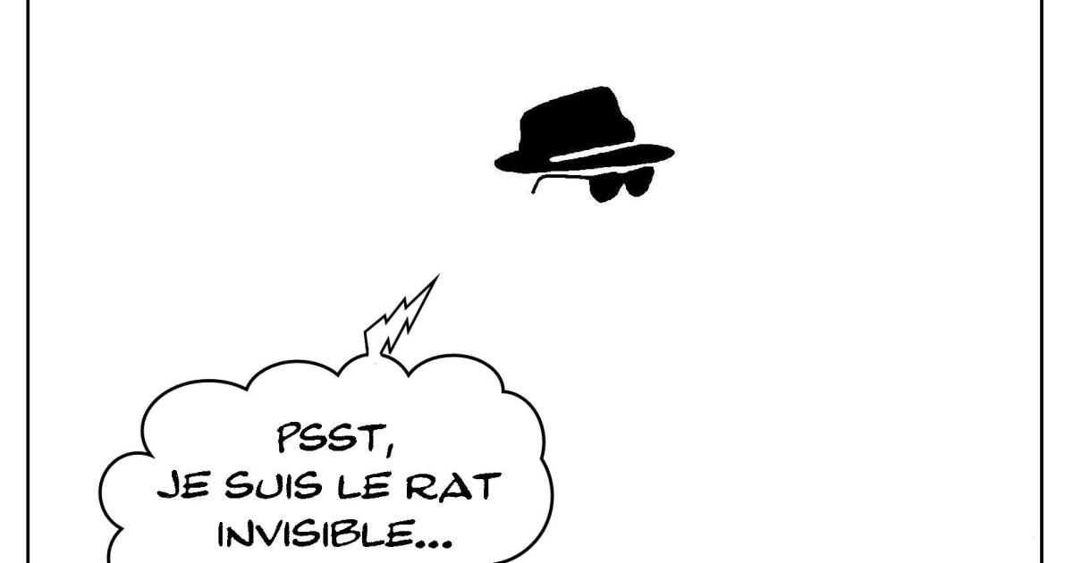 Le rat qui était invisible