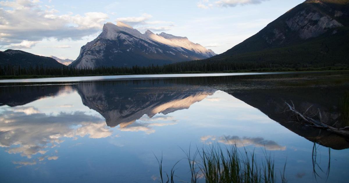 Un reflet de mon roman