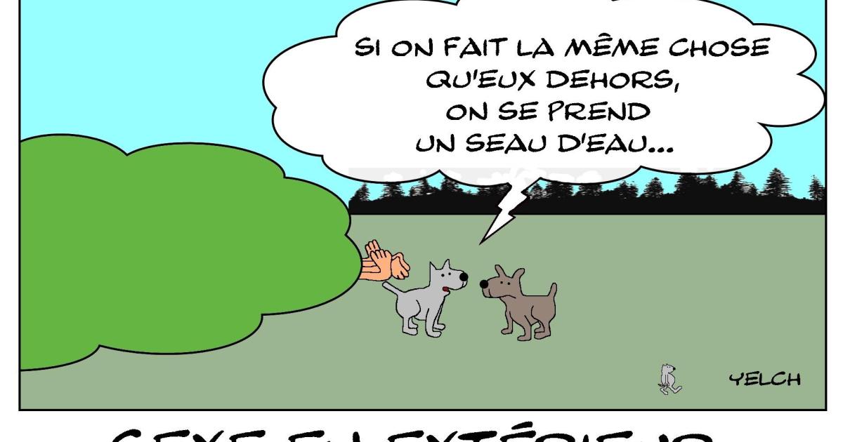 Sexe en extérieur