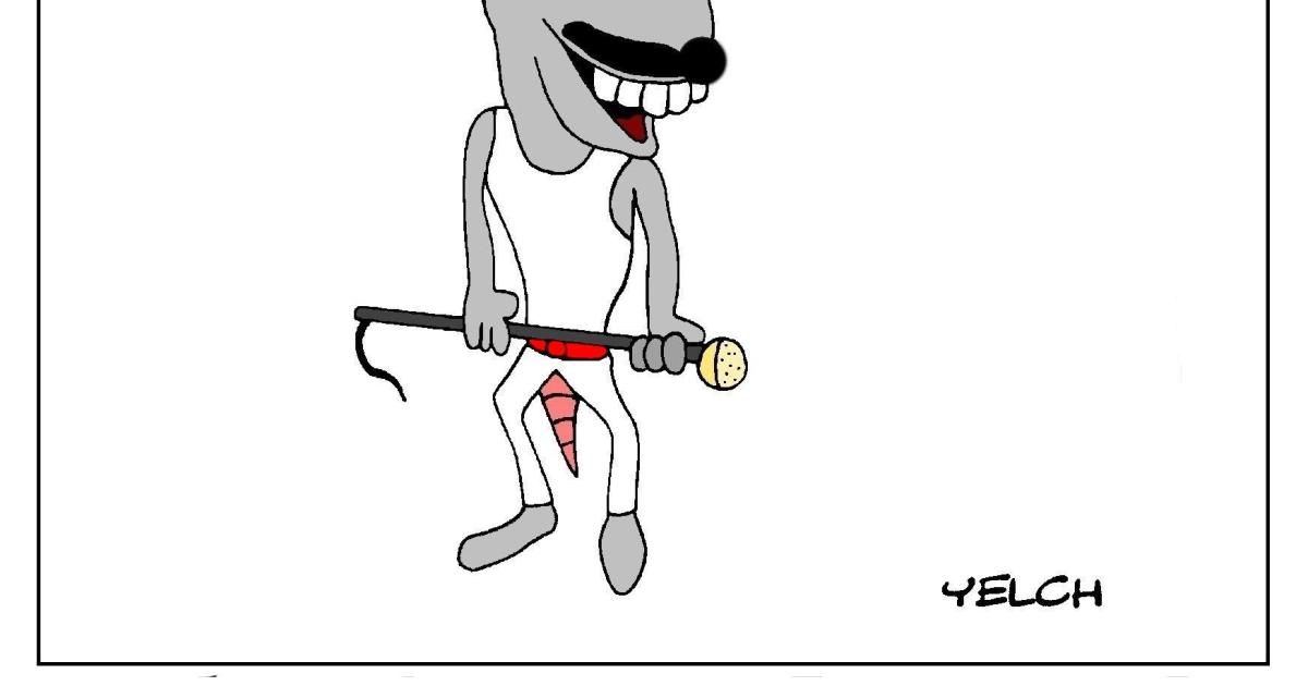stars du rock des rats : Freddie Mercury