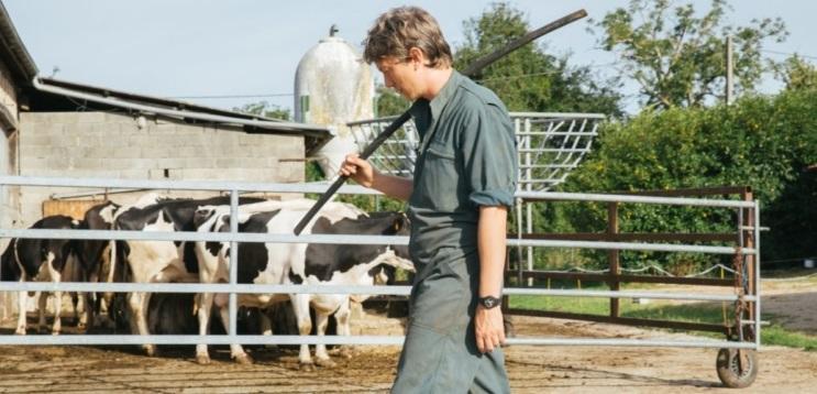 Petit Paysan (Hubert Charuel, 2017)