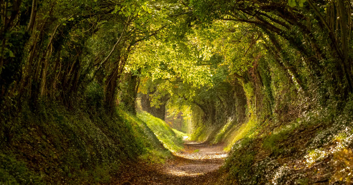 Tunnel