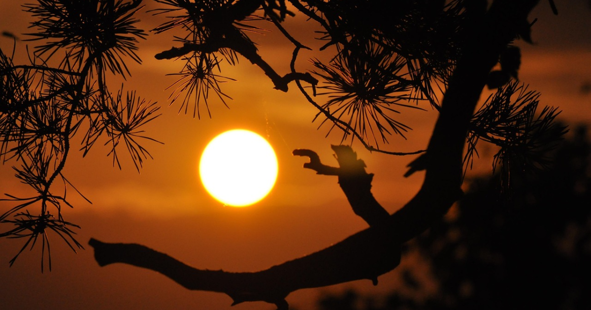 Que  des  lettres  ensoleillées