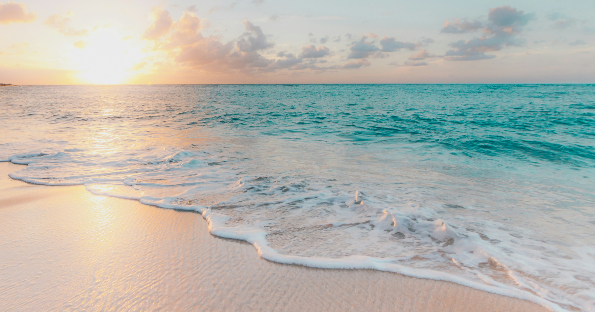 Chapitre 4 : dernière ligne droite