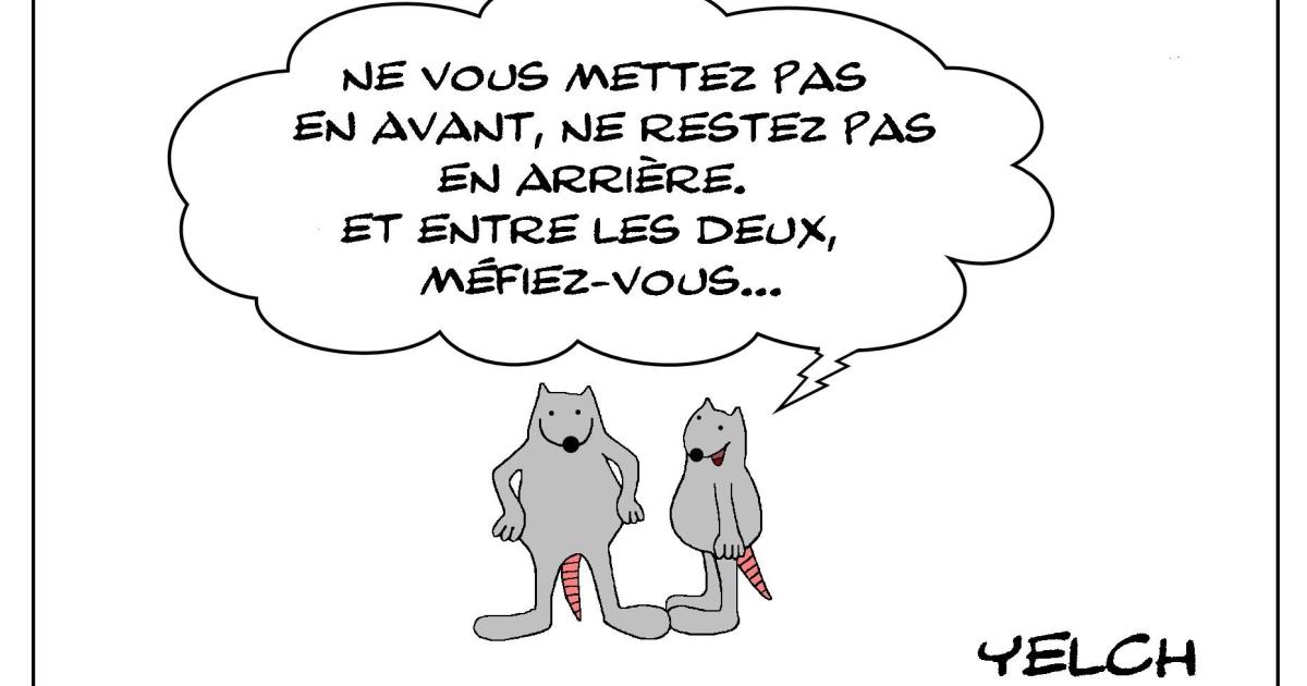Le rat qui se méfiait de tout