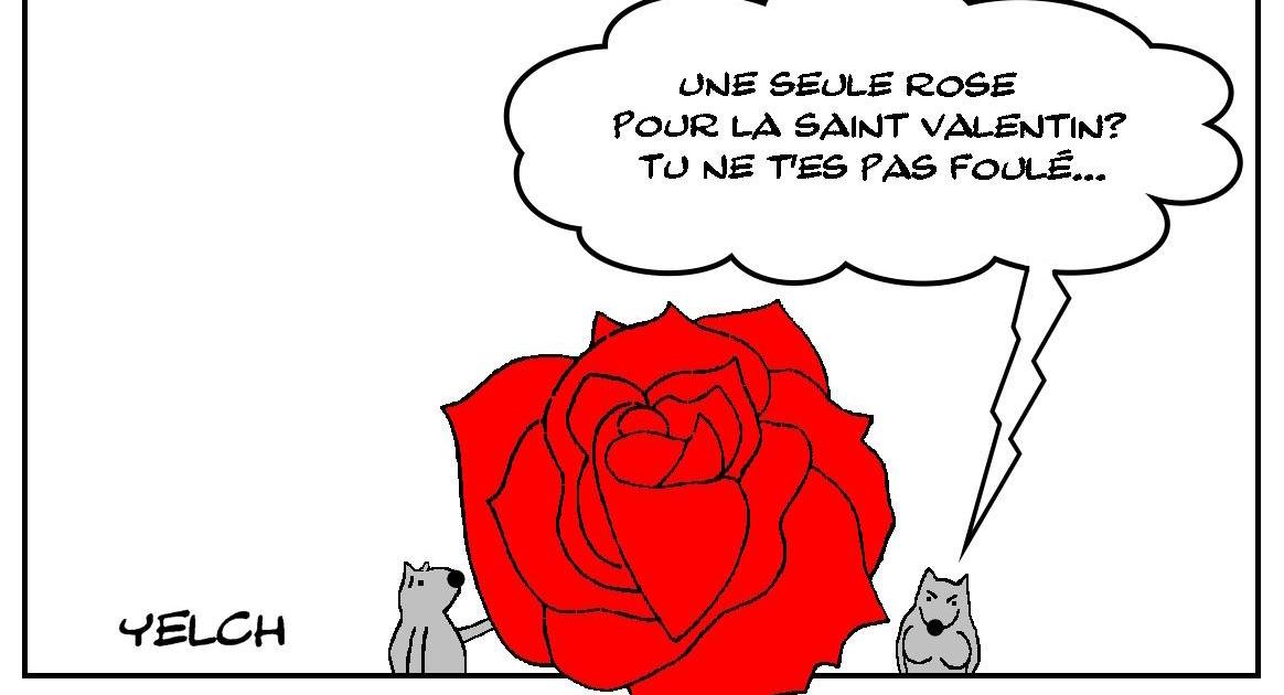 Une seule rose pour la Saint Valentin