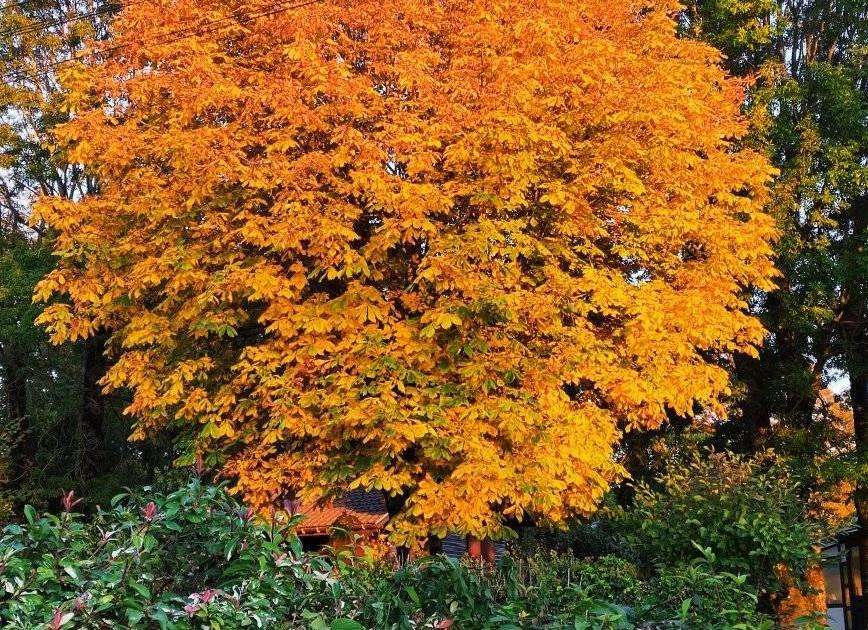 Là où s'entremêlent l'histoire et le métier