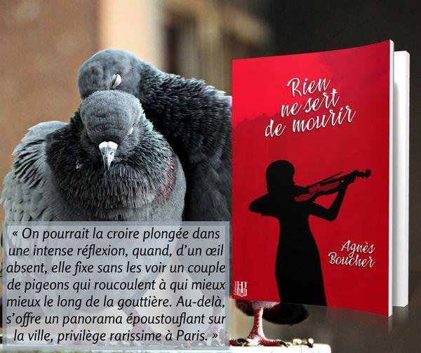Extrait 1