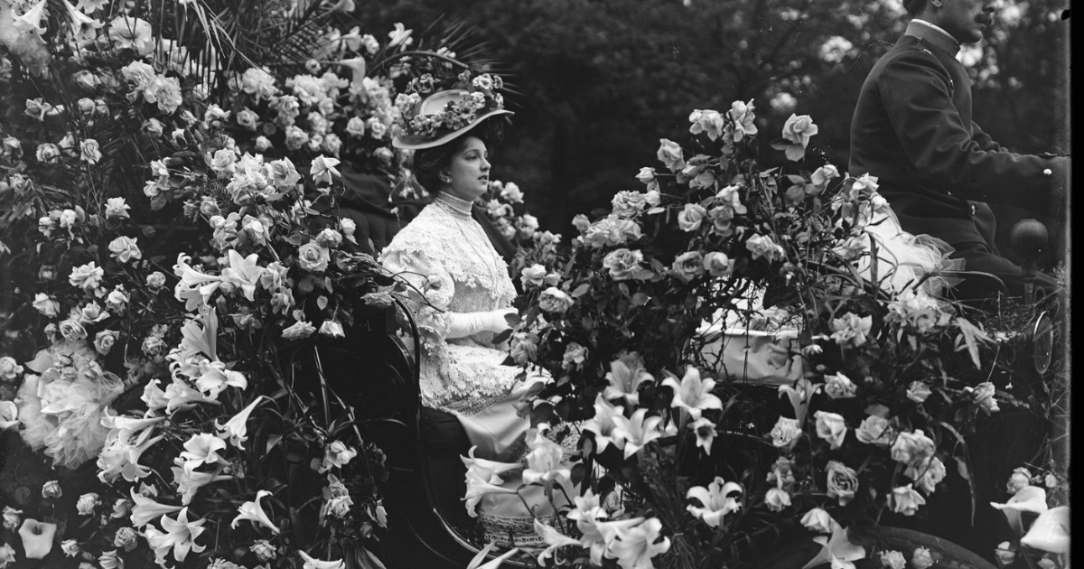 17 Una pregunta espinosa