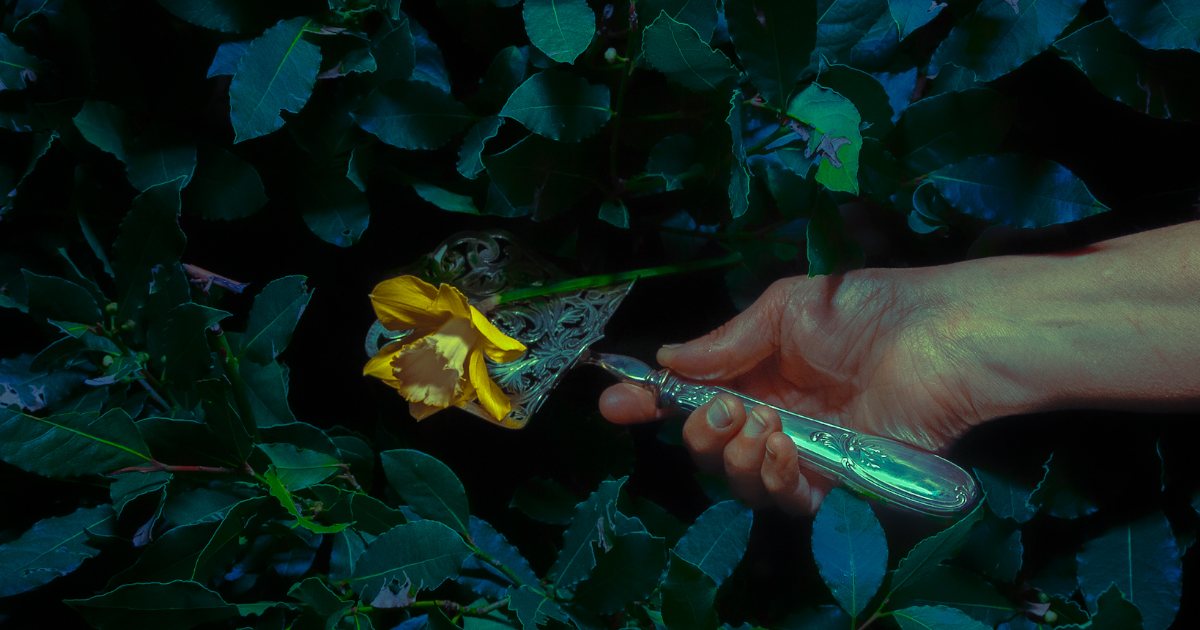 Fenêtre à barreaux