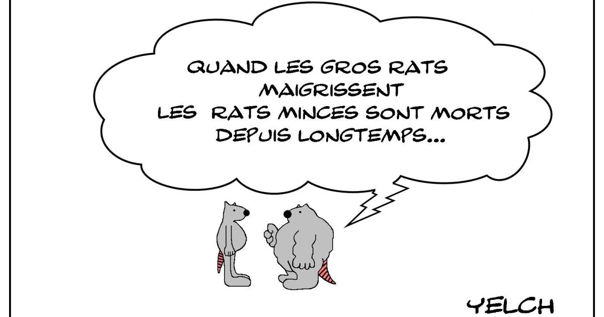 Le rat obèse qui se prenait pour Lao Tseu 