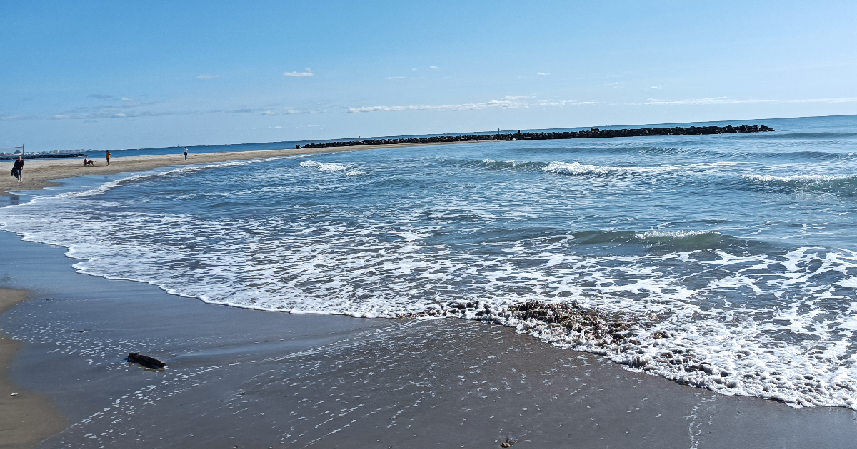 Blabla d'enfer ! : Chapitre 4                                  Caméléon