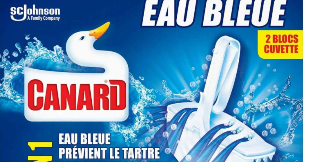 Canard