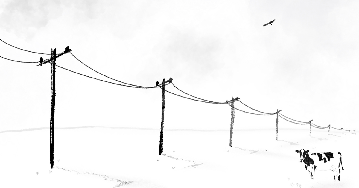 Minimal art with cow