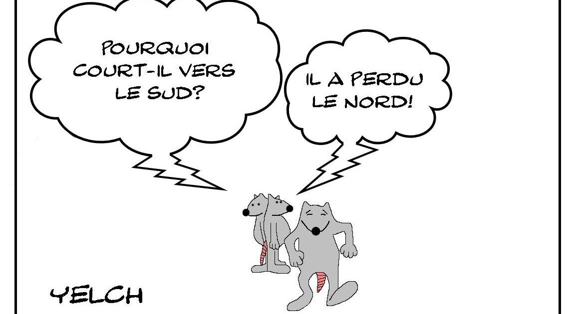 Perdu dans le sud