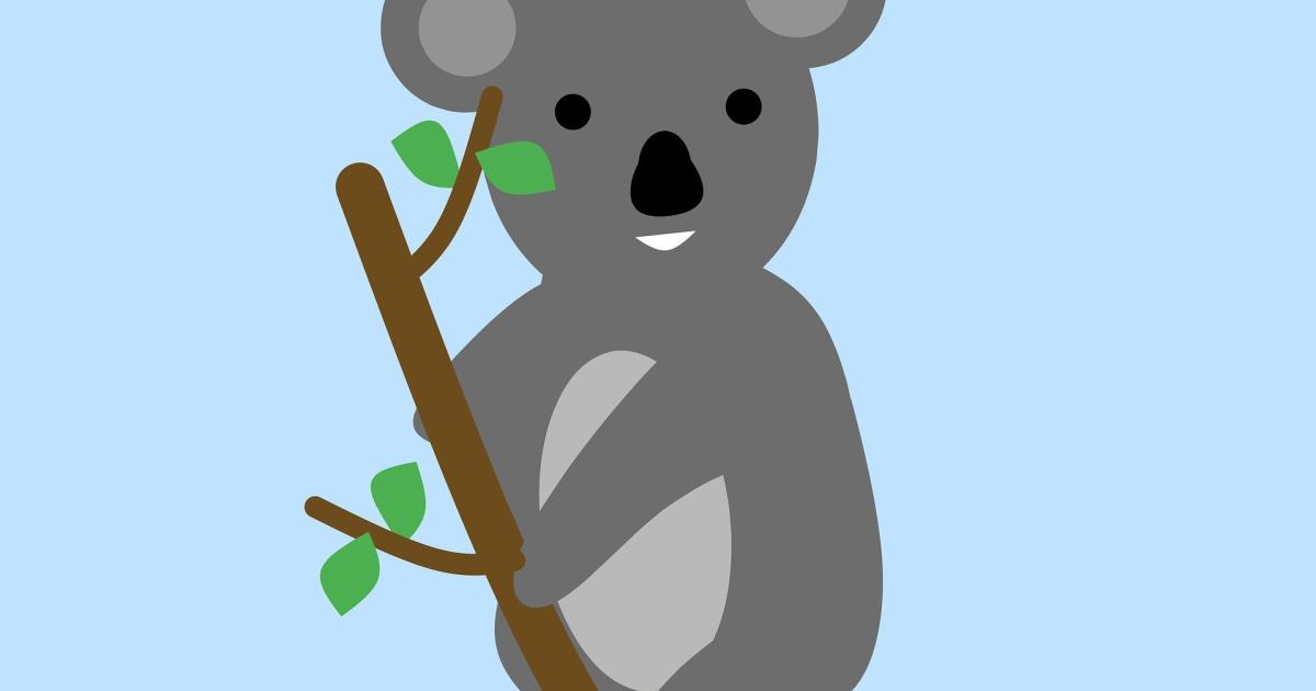 I - Colas, le garçon-koala